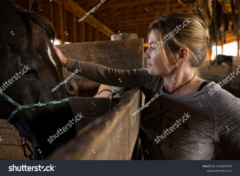 A woman in a paddock watches a video on a laptop while her horse stands calmly beside her, illustrating the concept of free online horse training courses.