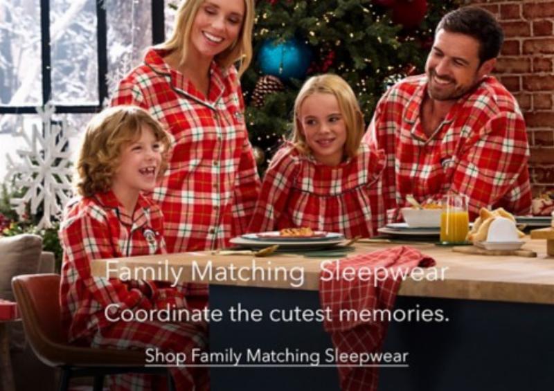 Iconic Woody Toy Story dog costume with red checkered shirt, blue vest, and cowboy hat for a beagle