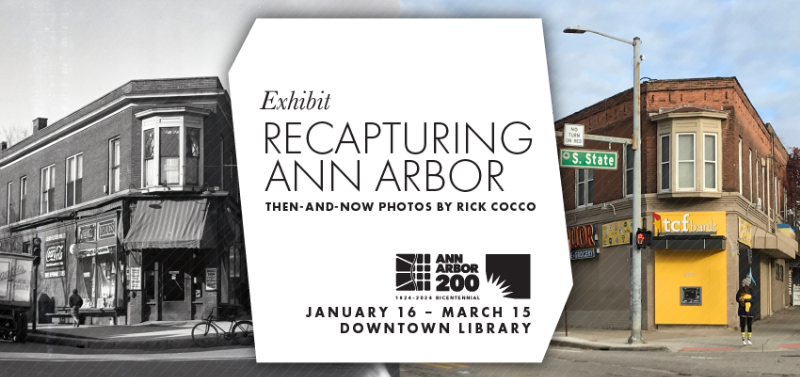 An evocative, cozy scene of a writer's desk with a vintage typewriter. A half-written page describes a mythical horse vore story, with sketches of giant horses in the margins. A warm cup of tea steams beside the typewriter.
