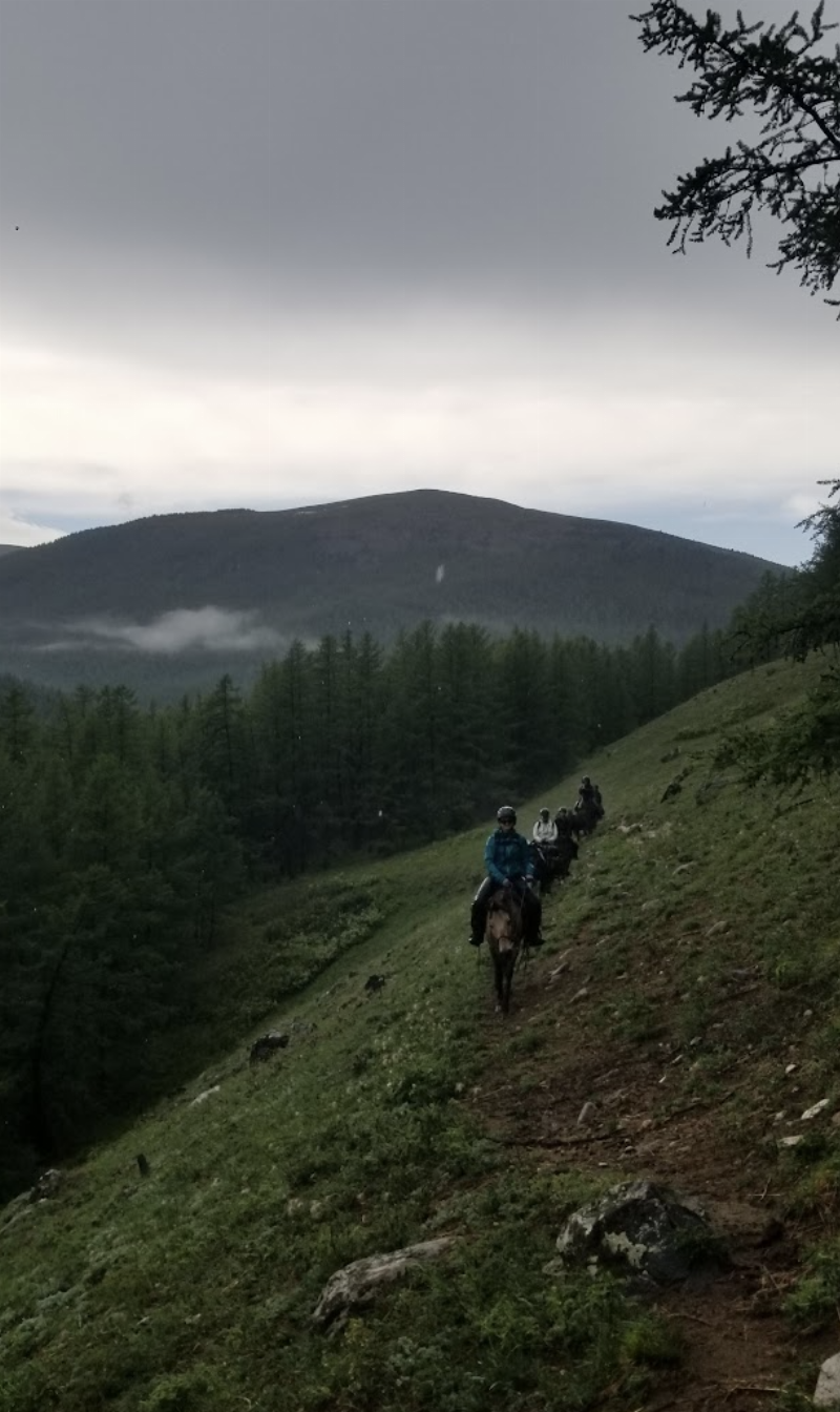 Authentic partnership between a Yellowstone horse trainer and their equine partner