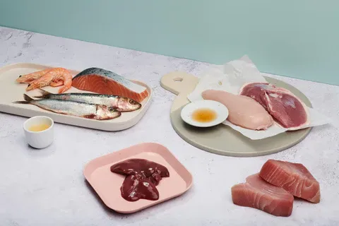 A cat with a healthy, shiny coat.