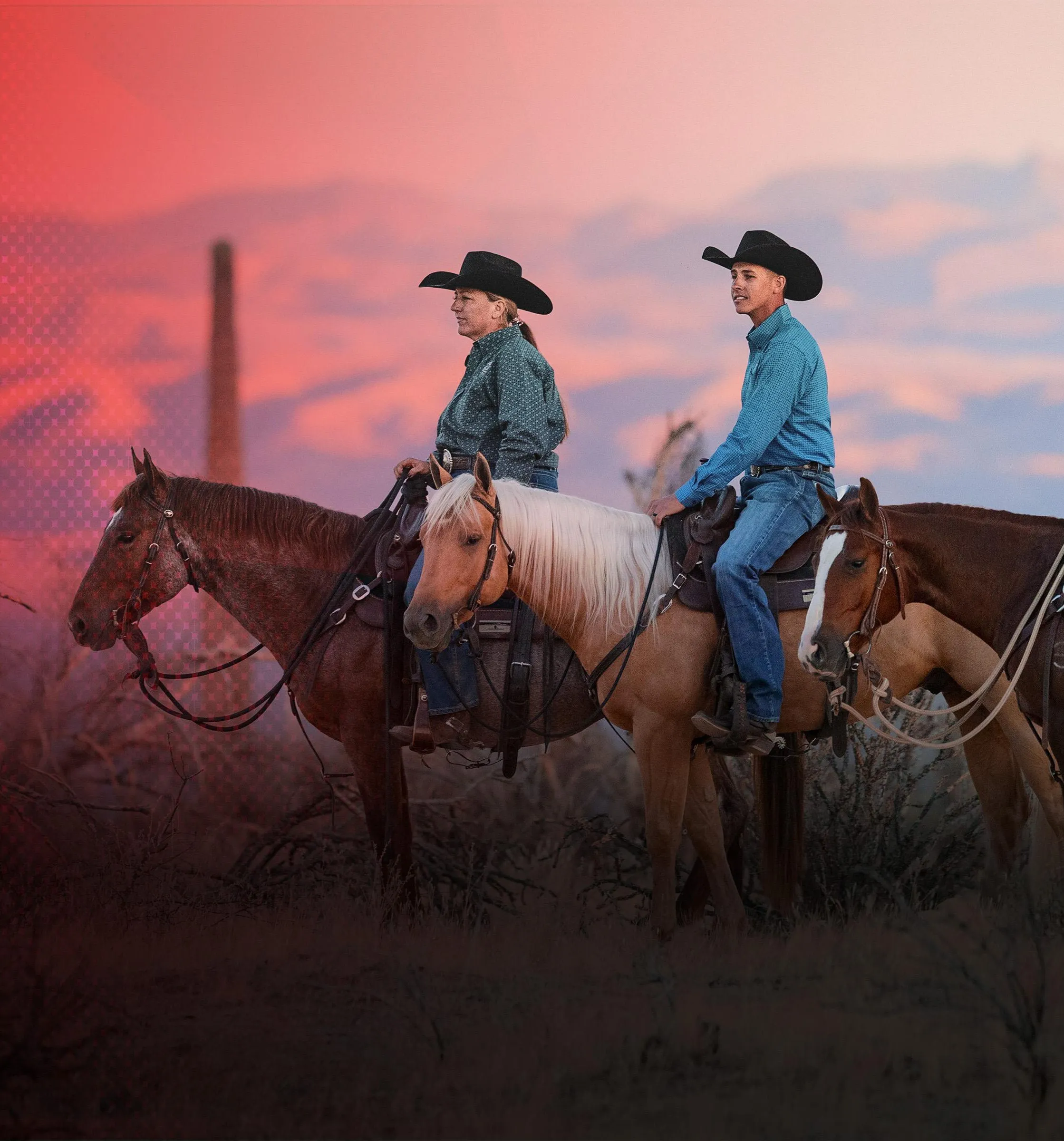 A clinician working with a horse