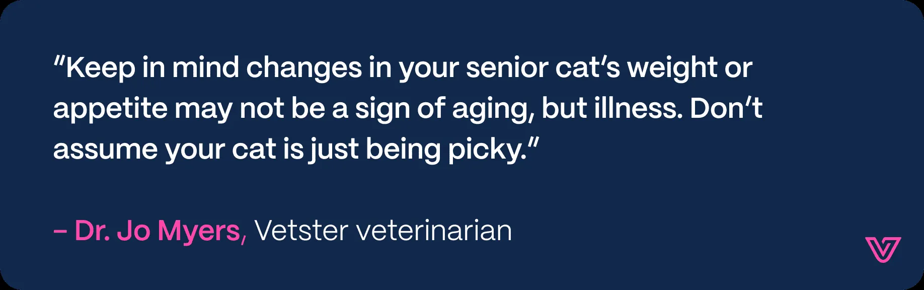 A graphic illustrating a veterinarian consulting with a cat owner about senior cat nutrition.