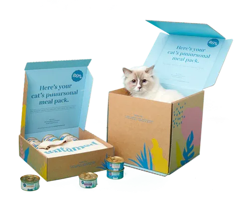 A happy cat looking healthy.