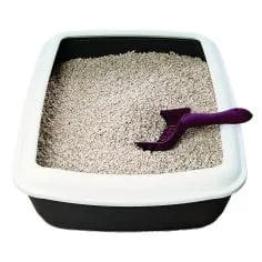 A litter box and scoop.
