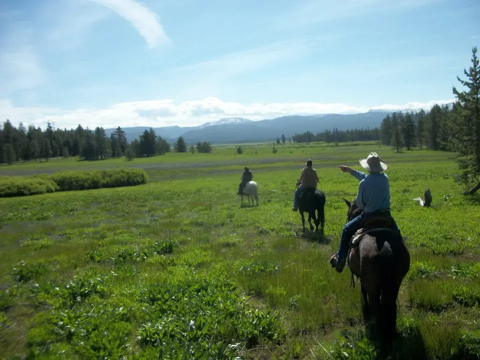 A ride through Squirrel Meadows on your very own wagon train vacation.