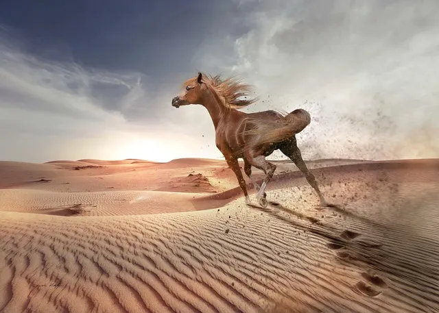 African Namib Desert horse galloping through dunes