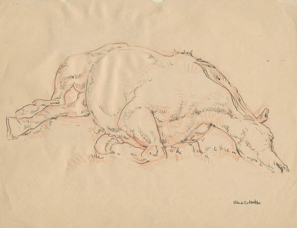 Alex Colville, Sketch Drawing, A Dead Horse, 1945