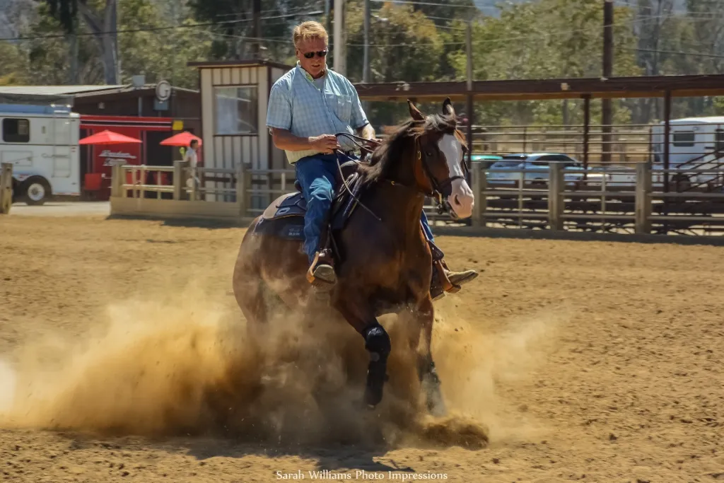 An Arabian horse in motion during a reining event.