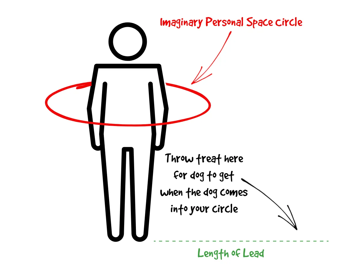 An illustration showing how to throw a treat to the side of the dog.