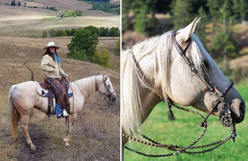 Artisan-crafted horse equipment, including rawhide braids and reins