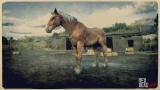Belgian Draft Horse in Red Dead Redemption 2
