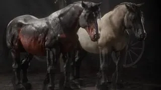 Breton Horse in Red Dead Redemption 2