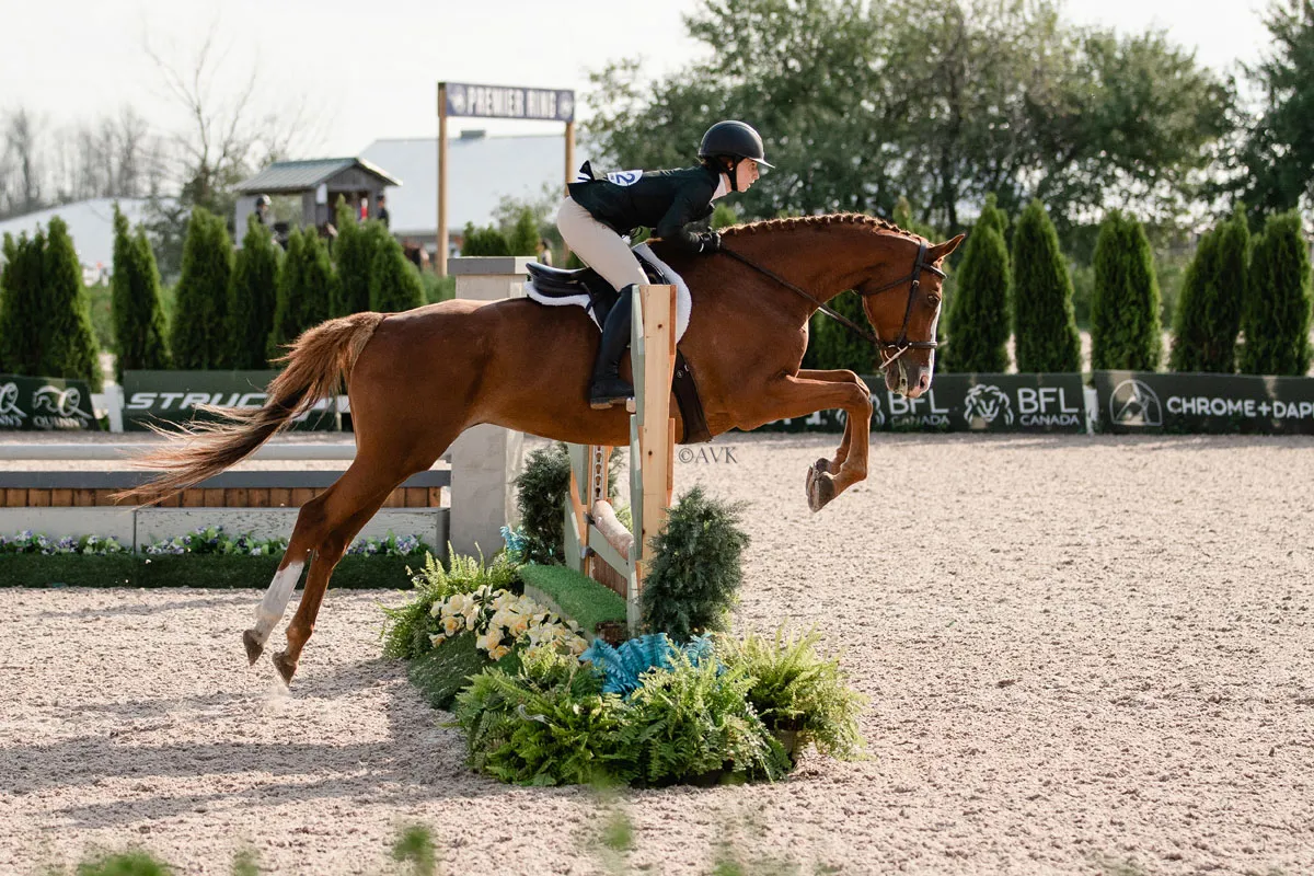 Bryanna Tripi working with a horse