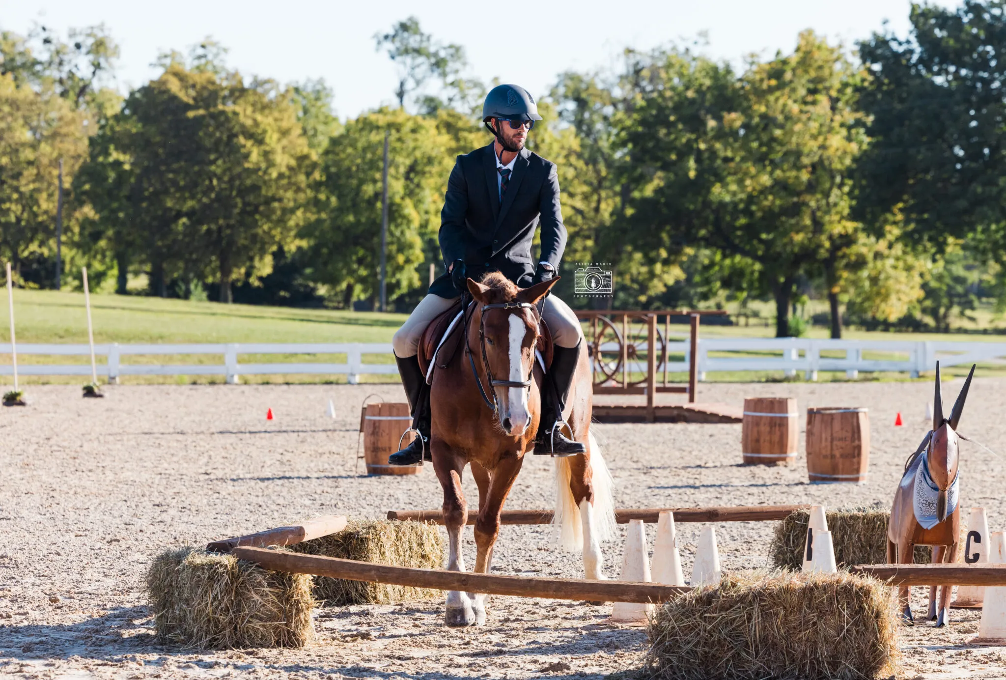 Craig Moore and Toby navigating an obstacle in the working equitation event.