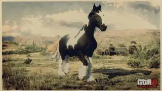 Gypsy Cob Horse in Red Dead Redemption 2