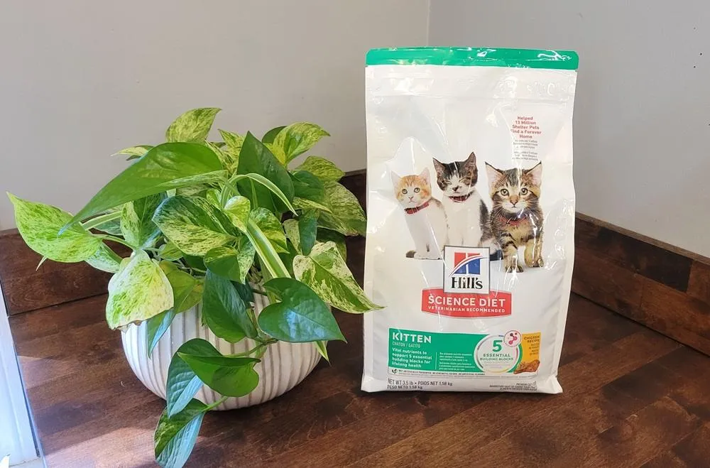 Hill’s Science Diet Kitten Healthy Development Chicken Recipe Dry Cat Food