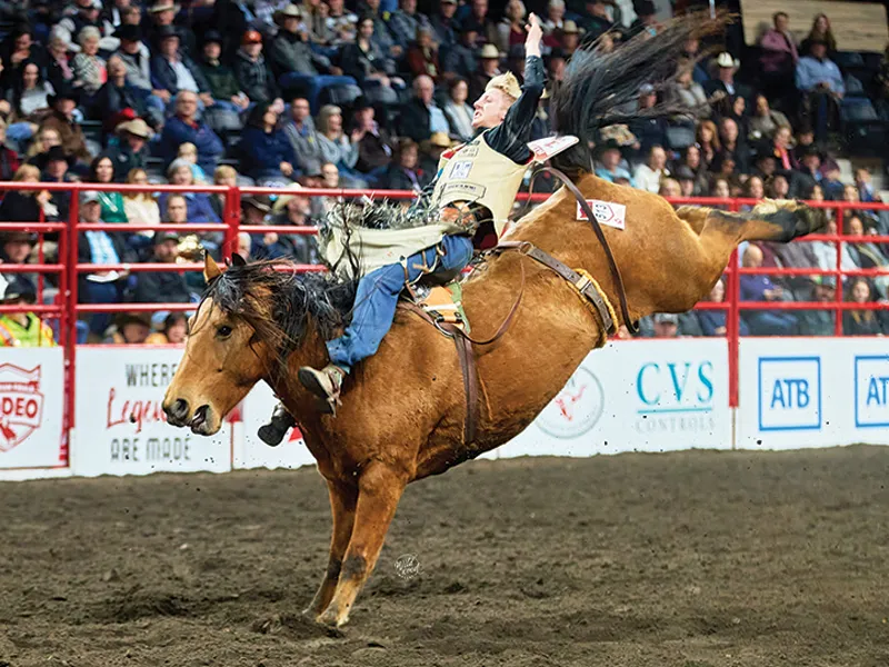 horse bucking rodeo, rider on bucking horse, rodeo horse canada, wildwood imagery, best bucking horses canada