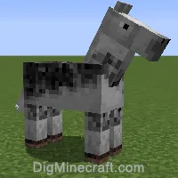 horse variant 1024