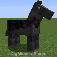 horse variant 1029