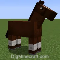 horse variant 259