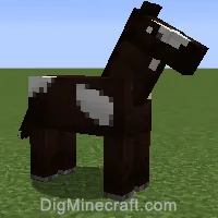 horse variant 518