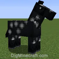 horse variant 772