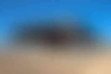 Horses enjoying the rubberized walkways