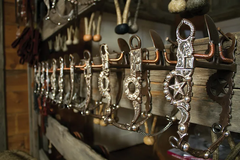 Horses ridden with minimal cues in a spade bit.