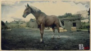 Hungarian Halfbred Horse in Red Dead Redemption 2