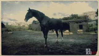 Kentucky Saddler Horse in Red Dead Redemption 2