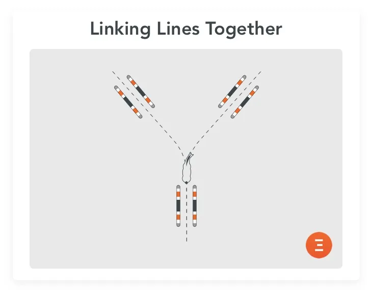 Linking lines together, an fun exercise for young horses