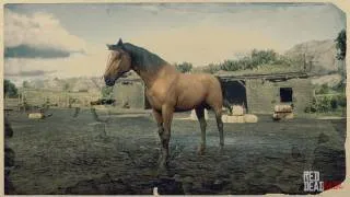 Morgan Horse in Red Dead Redemption 2