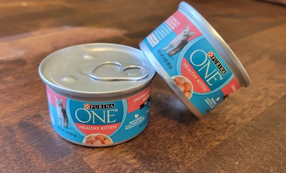 Purina ONE Healthy Kitten Chicken & Salmon Recipe Paté Wet Kitten Food