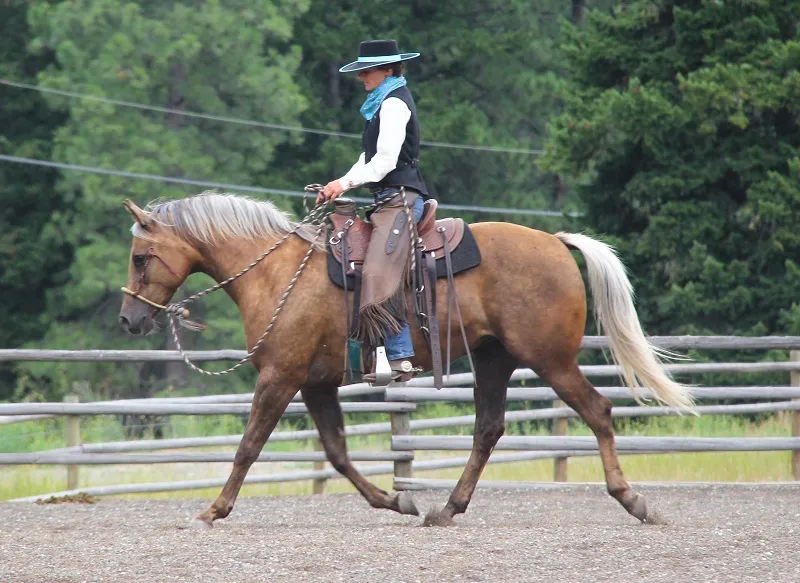 Stefanie Travers riding in a hackamore