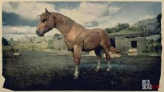 Suffolk Punch Horse in Red Dead Redemption 2