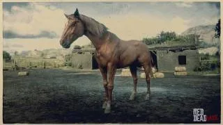 Tennessee Walker Horse in Red Dead Redemption 2