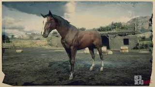 Thoroughbred Horse in Red Dead Redemption 2