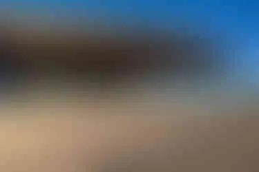 View of Rancho Paraiso's expansive grounds